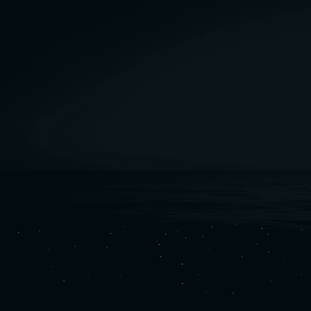 Contact Petronia Consulting